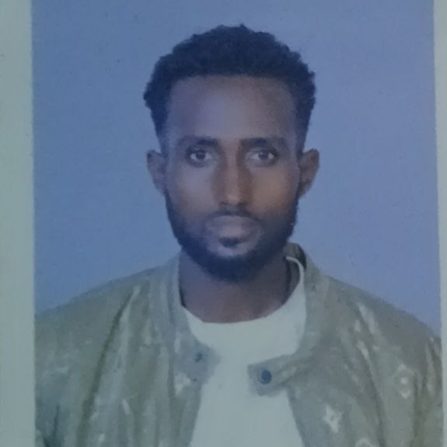 Amanuel Birara Endalew